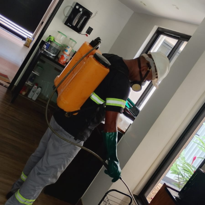 Detetização em residencia e condominios Detetização em residencia e condominios